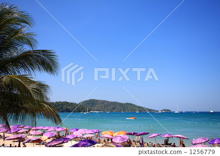 Patong / beach 1256779