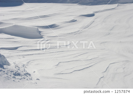 痕跡留在雪地上 1257874