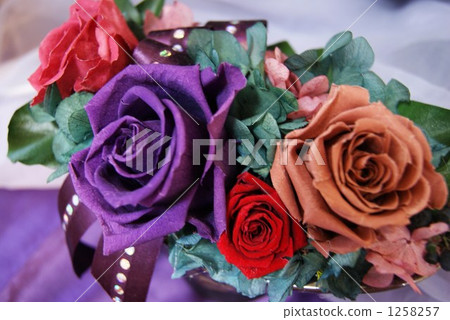 Pizza flower 1258257