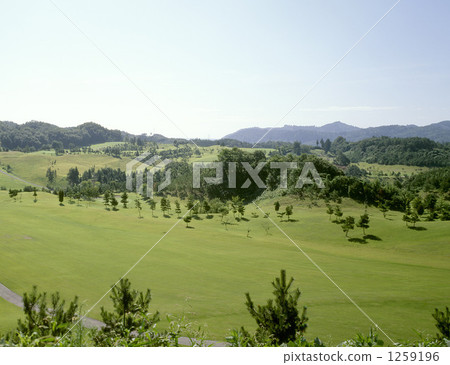 Golf course 1259196