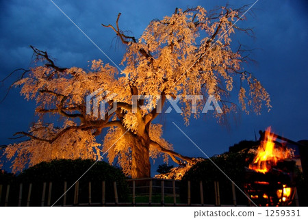 Kasokemaboroshi 1259331