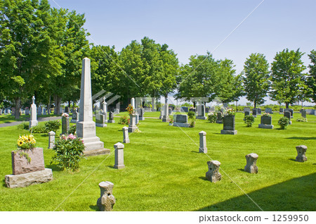 一個明亮的墓地 1259950