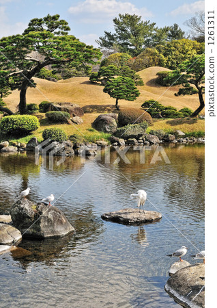 熊本水前寺公園 1261311