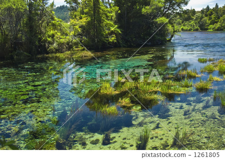 Spring water springs up Spring water springs up 1261805