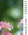 Leave 1262415