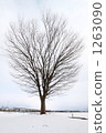 冬天的立場 1263090