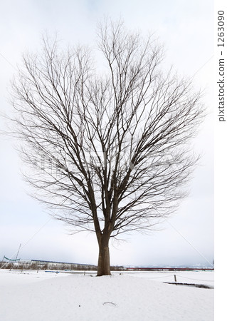 冬天的立場 冬天的立場 1263090
