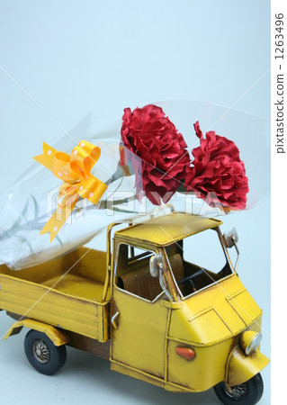 Deliver carnation Deliver carnation 1263496
