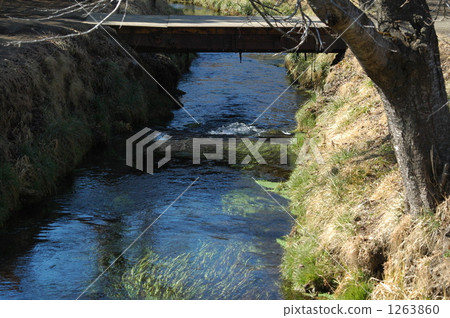 Oshino Hakkai 1263860