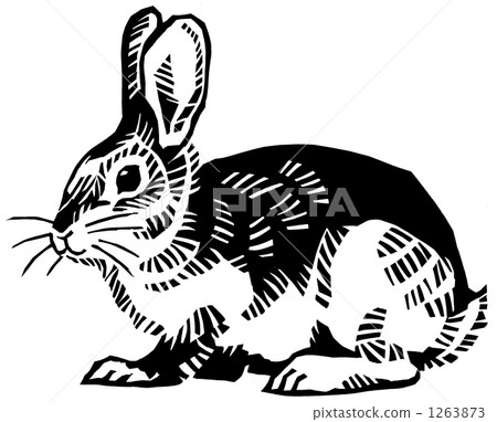 Cut-eye rabbit monochrome - Stock Illustration [1263873] - PIXTA
