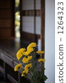 Chrysanthemums from Buddha-en 1264323