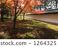 Fall of Tofukuji 1264325