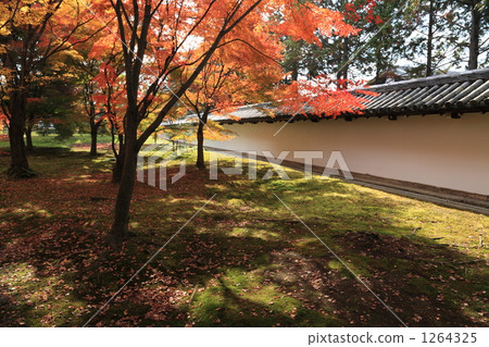 Fall of Tofukuji 1264325