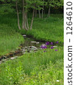 brook, creek, streamlet 1264610