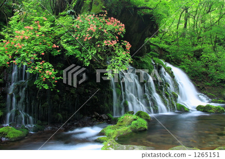 Former falls of fresh green Feng Shui water and Riki Azalea 1265151