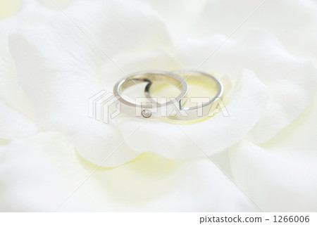 結婚戒指 1266006