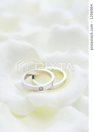 結婚戒指 1266064