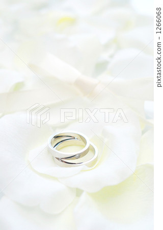 結婚戒指 1266068