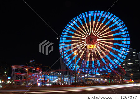 Shining peacock 1267057