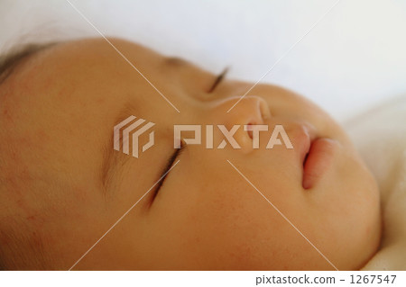 一個假期 1267547