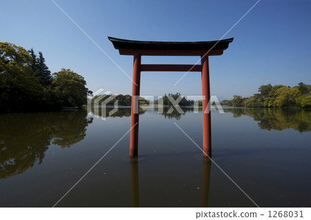 utsunomiya, Torii Gate, torii 1268031