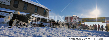 At dog sled race start 1268033
