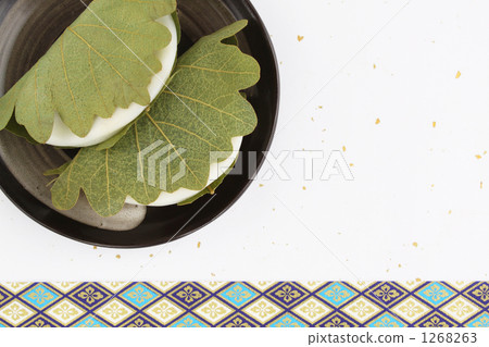 Kashiwaki 02 1268263