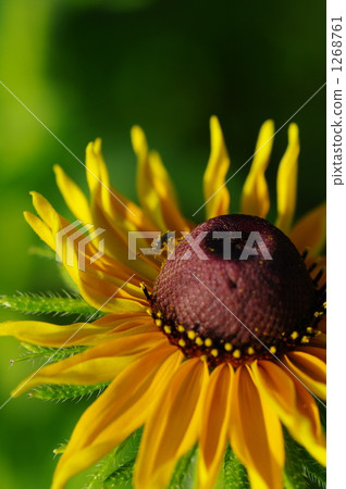 第5次會議 第5次會議 1268761