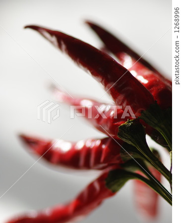 明亮的紅三葉草 1268996