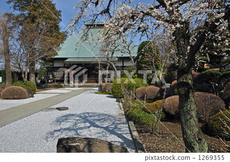 Iwasuki Walking · Jingnaji Temple Iwasuki Walking · Jingnaji Temple 1269355