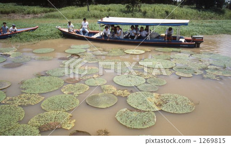 The Amazon River 1269815