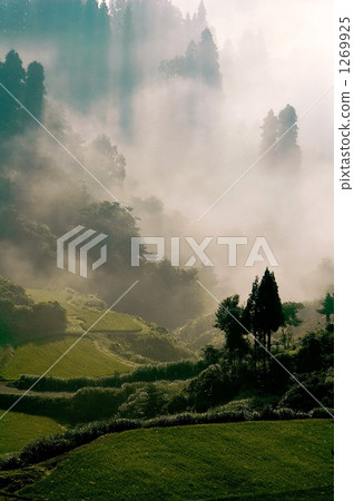 terraced rice-fields, foggy, gamo terraced rice fields 1269925