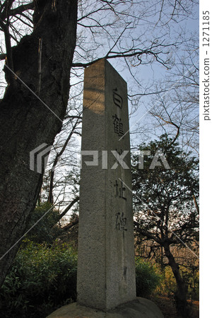 Iwatsuki walk / Iwatsuki castle ruins park 1271185