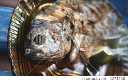Piraniya Piraniya 1271238