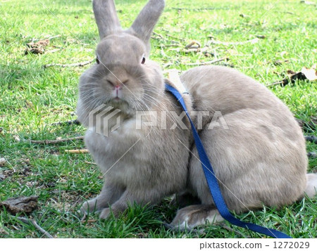 Serious face while walking Serious face while walking 1272029