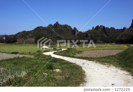 tasome zhuang, farm road, path 1272220