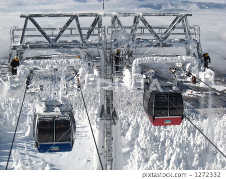 Maintain cable in Fuyama 1272332