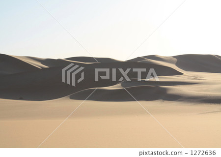 Shadow of desert Shadow of desert 1272636