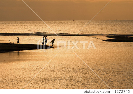 傍晚 海岸 海濱 1272745