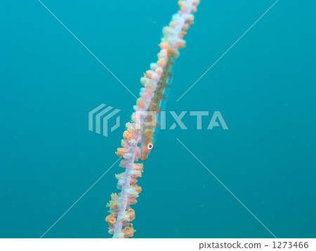 The place where I am The place where I am 1273466