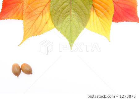 秋天的形象 1273875