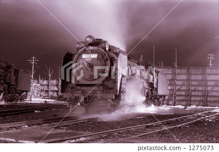 Showa 45 steam locomotive in Hokkaido Goryokaku agency district D 52 1275073