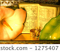 Moment of flowers in plant map book ◆ There is an image for checking copyright of a book Moment of flowers in plant map book ◆ There is an image for checking copyright of a book 1275407