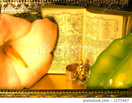 植物地圖冊中的花朵的時刻◆有一個圖像用於檢查書籍的版權 1275407