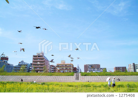 這是一個田園詩般的景觀 這是一個田園詩般的景觀 1275408