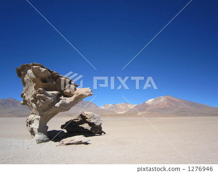 Wood stone Wood stone 1276946