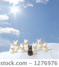 Snowy Mountain Rabbit 2 1276976
