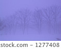 Fog tree stand 1277408