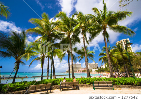Waikiki Beach 1277542