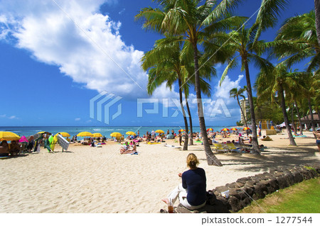 威基基海灘 威基基海灘 1277544